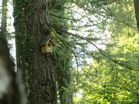 birdhouse on tree