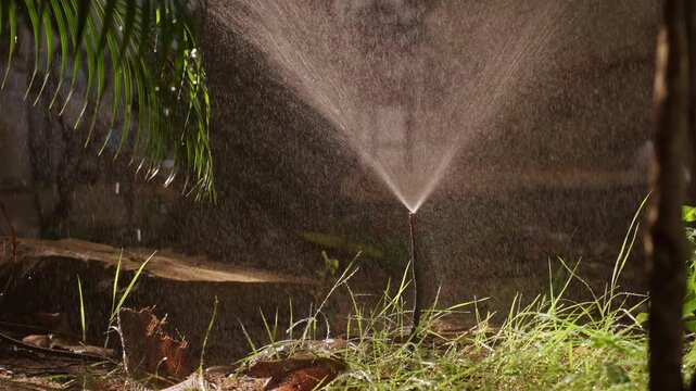 Garden Sprinkler Showers Tropical Grass and Palm Leaves with Glowing Water Droplets in Slow Motion, Plant Care and Irrigation