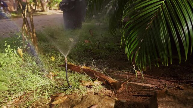 Automatic Sprinkler Waters a Shaded Tropical Garden while Sunlight Forms a Rainbow in the Mist, Slow Motion Garden Care
