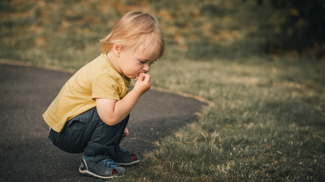 Curious Toddler Boy Crouching to Examine Small Object on Outdoor Path &mdash; Candid Childhood Discovery