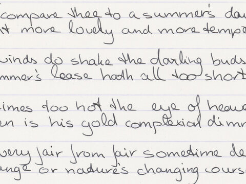 Handwritten text from William Shakespeare's Sonnet 18 is shown on lined paper. The writing is in black ink and features a clear and neat cursive style. 