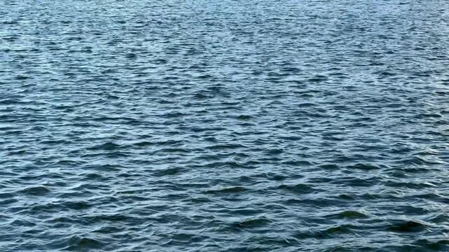 Blue water surface with gentle ripples and natural abstract texture