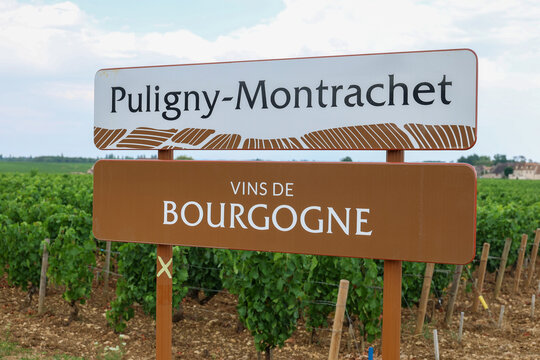 Road sign for Puligny-Montrachet in Burgundy, France, standing beside vineyard rows in one of the world's most renowned Chardonnay wine-growing regions.