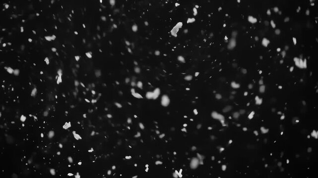 Countless microscopic white dust particles floating on black background.