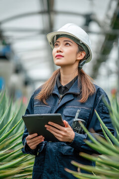 Female diversity. Human rights, equal opportunity concept. A portrait of a woman wearing a white hard hat and blue overalls, standing in a greenhouse.