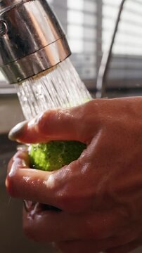 Vertical video. Female Hands Wash Fresh Green Avocado beneath Flowing Water in Slow Motion, Healthy Food Preparation and Kitchen Hygiene