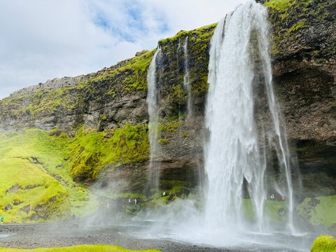Seljalandsfoss Waterfall Cascading from Mossy Cliff with unidentifiable Tourists Walking Behind Water Curtain, Iceland