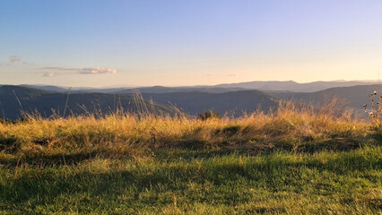 Meadow on a Blotnia Mountain. Beskides. © Jan