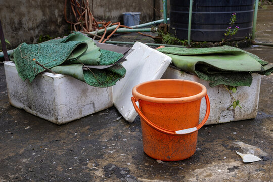 Close-up view of dirty plastic bucket and discarded foam boxes on a wet rooftop. Unhygienic environment needing waste management and cleanup. Dengue larvae control and safety awareness.
