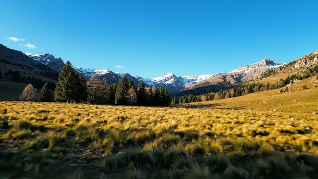 Breathtaking landscape view of golden grass fields leading to majestic snowcapped mountains under a clear blue sky