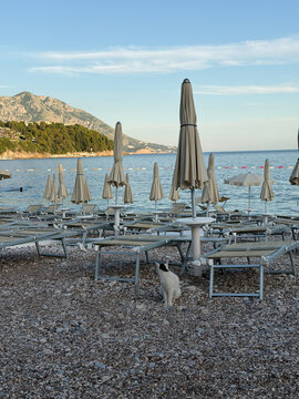 Empty sun loungers on Adriatic Sea beach with peaceful summer atmosphere and clear blue water, coastal vacation concept