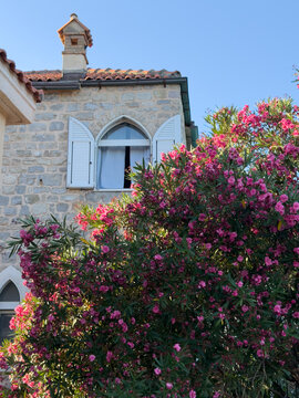 Old house facade surrounded by lush greenery and blooming flowers, charming traditional architecture and romantic garden atmosphere
