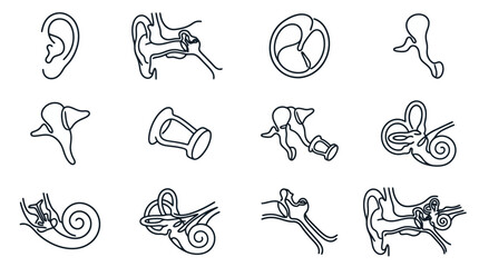 Anatomy Ear Hearing Organ Medical Science Vector Icons Set © Yoko