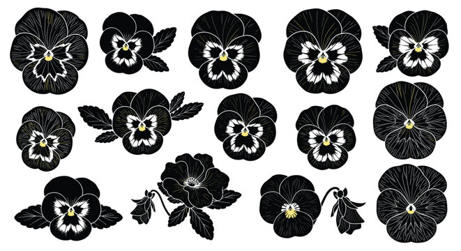 Detailed collection of vintage pansy flower silhouettes with elegant yellow details on a clean white background.
