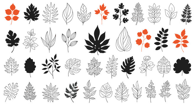 Comprehensive collection of leaf silhouettes, line art outlines, and sketches in black, orange, and white.