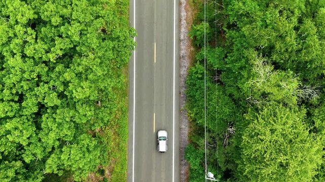 Aerial landscape of a silver car on a scenic countryside road through dense woodland, highlighting road trip culture, travel lifestyle, freedom, and natural beauty.