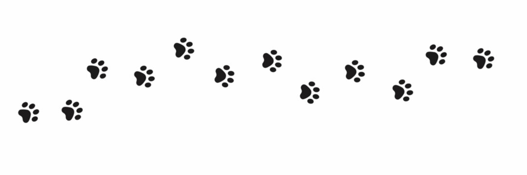Cat and dog paw print trail vector path silhouette isolated on white background