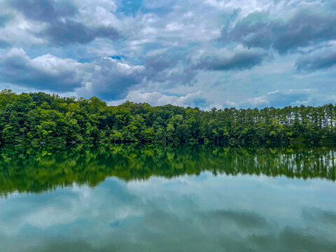 Forest Reflections Along the Susquehanna River
