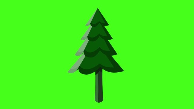 Cartoon style animation of a pine tree against a green background, art, drawing, 2D.