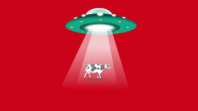 Cartoon style animation of a flying saucer abducting a cow on a red background, art, drawing, 2D.