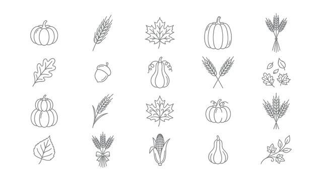 Autumn harvest collection with displays collection line art icons representing pumpkins leaves white background
