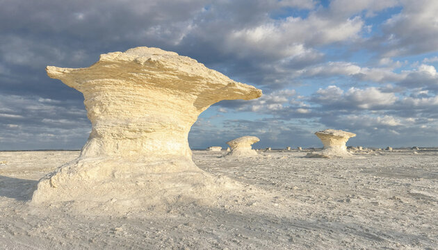 Large white mushroom shaped rock formations in a vast desert landscape under a dramatic cloudy sky during the late afternoon light