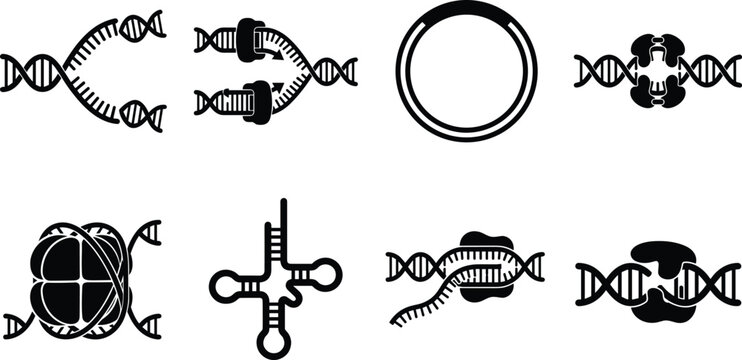 DNA genetics and molecular biology icons set featuring replication transcription plasmid nucleosome transfer RNA and gene editing processes