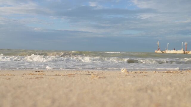 Close-up of a small seashell on a sandy beach with gentle ocean waves in Sisal, Yucat&aacute;n.