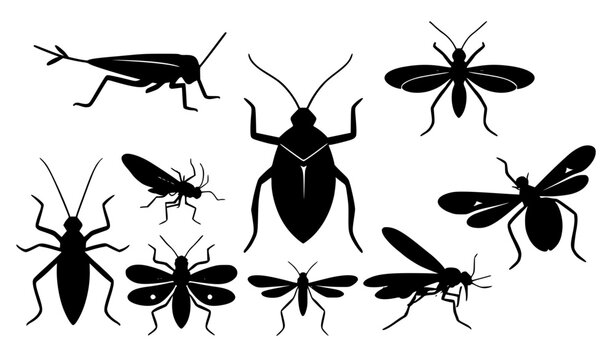 Insects and bugs black silhouette vector icon set with beetles grasshoppers flying pests isolated on white background