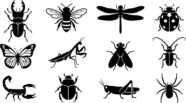 Insect Icons Set of Beetle, Ant, Bee, Butterfly, Moth, Fly, Dragonfly and Bugs Silhouettes on White Background