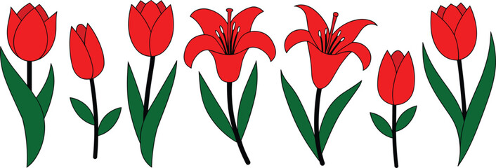 Red Tulip and Lily Flower Vector Element Set with Green Leaves for Spring Greetings Wedding Invitations Garden Backgrounds and Floral Border Graphic Designs © Roymohan