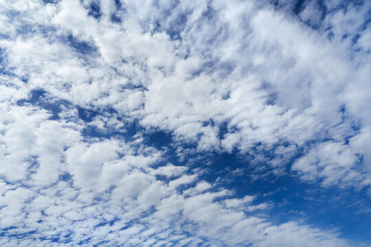 Beautiful blue sky filled with white altocumulus clouds texture.
