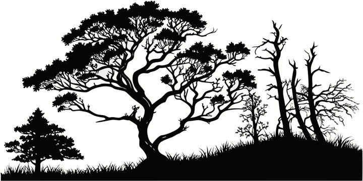 Dark enchanted forest with twisted trees, black silhouettes on white background, dark forest