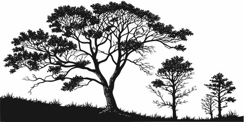 Silhouette of a large tree with dark clouds against white background, tree silhouette © RABBY