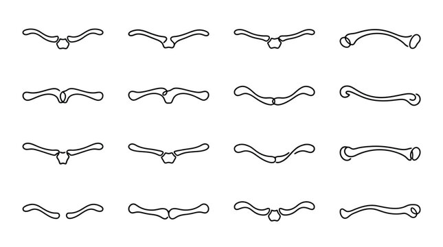 Anatomical Illustration of Various Human Clavicle Bone Shapes