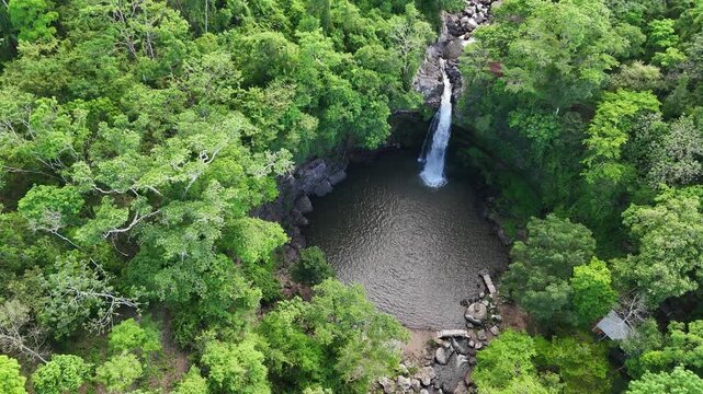 A waterfall flows into a still pool surrounded by thick green trees. Nature untouched and colorful.