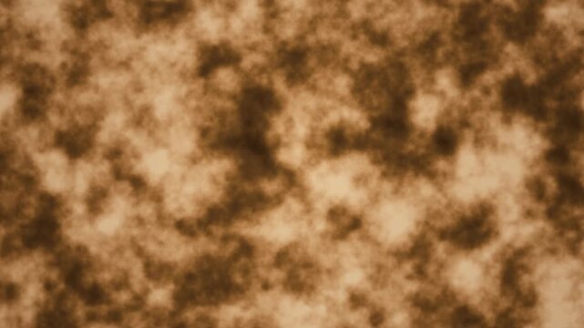 A seamless looping background displaying a grainy brown and cream texture resembling abstract organic matter or a macro view of soil and fungi.