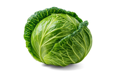 Obraz premium Fresh Green Cabbage On White Background