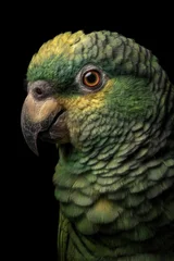 Portrait of a green Ara parrot before black background © britaseifert