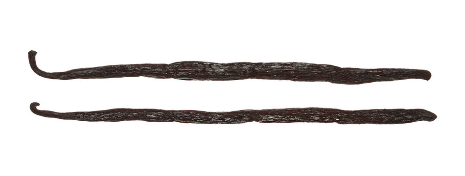 Vanilla pods isolated on white, clipping path	