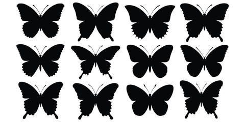 Twelve black silhouette of... delicate d © MST Hasina