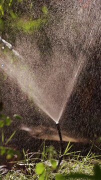Vertical video. Close View of Sprinkler Jet Filling the Frame with Sparkling Water Droplets in Slow Motion, Irrigation and Refreshing Garden Care