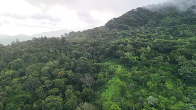Cloudy rainforest landscape in cloudy sky background aerial drone view
