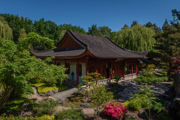 Obraz premium Chinese garden with pavilion and a clear blue sky on a sunny day