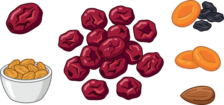 Dried fruit vector set with dates cranberries raisins apricots and single almond nut on white background