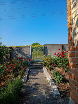Beautiful garden path with blooming red flowers leading to a metal gate under blue sky