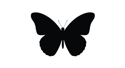 A black butterfly silhouette against a white background showcasing delicate wing patterns and antennae silhouette insect lepidoptera © ARSM D
