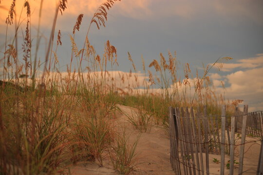 Sandy Path Through Sea Oats and Coastal Dunes on Hilton Head Island, South Carolina