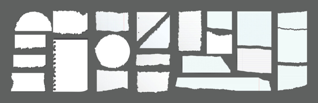 Crumpled notebook sheets with ragged edges, realistic torn pieces of lined paper. Blank memo sheet shreds, ragged note scraps, wrinkled paper strips, collage or scrapbooking vector elements set See Le