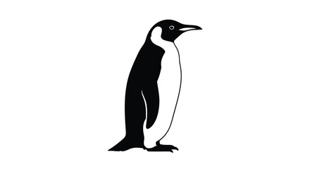 A detailed penguin illustration in black and white presented as a striking silhouette antarctic bird avian wildlife © ARSM D